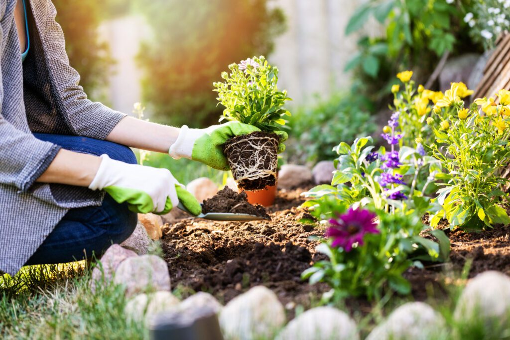 keeping deer out of your garden with the Wireless Deer Fence deer repellent